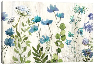 Blue Meadow Canvas Art Print - Conrad Knutsen