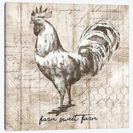 Farm Rooster Canvas Print #KNU70} by Conrad Knutsen Canvas Art Print