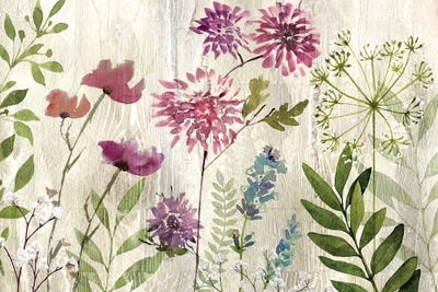 Meadow Flowers II by Conrad Knutsen art print