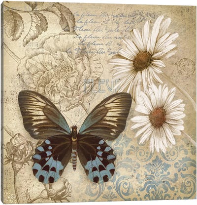 Butterfly Garden I Canvas Art Print - Butterfly Art
