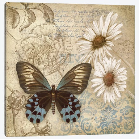 Butterfly Garden I Canvas Print #KNU85} by Conrad Knutsen Canvas Print