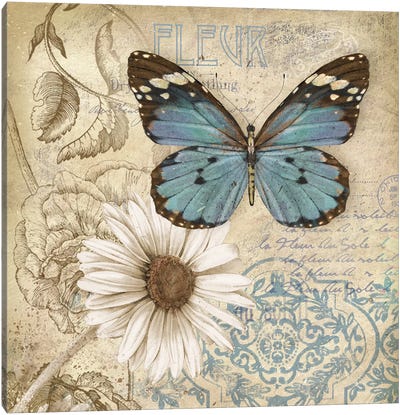 Butterfly Garden II Canvas Art Print - French Country Décor