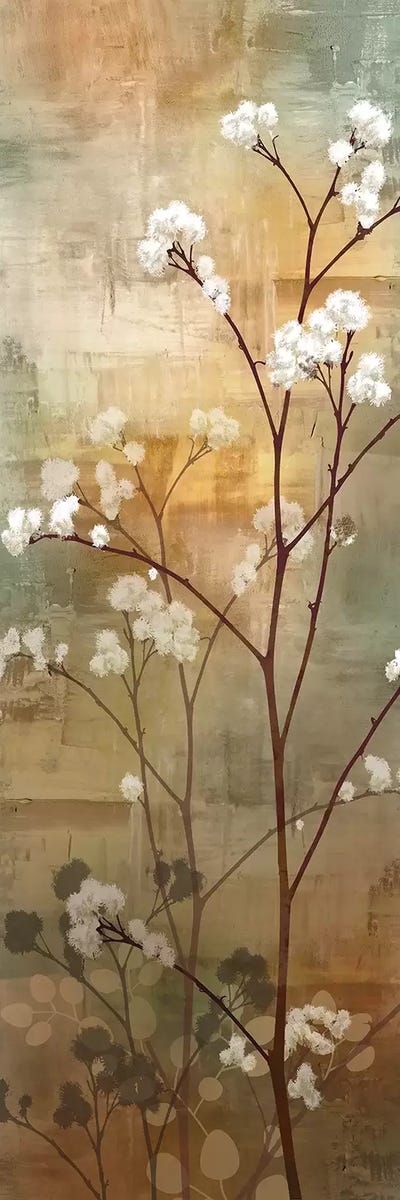 Misty Woods I by Conrad Knutsen framed canvas print