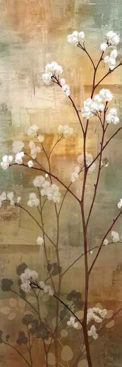 Misty Woods I by Conrad Knutsen wall art
