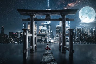 A Gate Of New Hope by Milos Karanovic art print