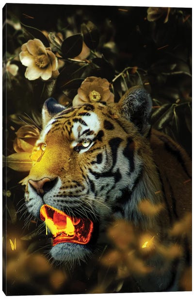 Gold Tiger Canvas Art Print - Milos Karanovic