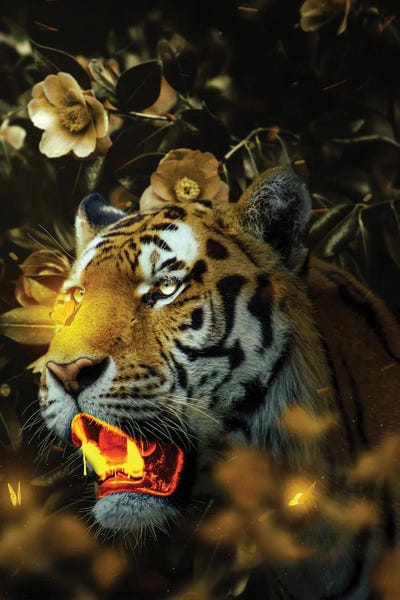 Milos Karanovic: Gold Tiger by Milos Karanovic