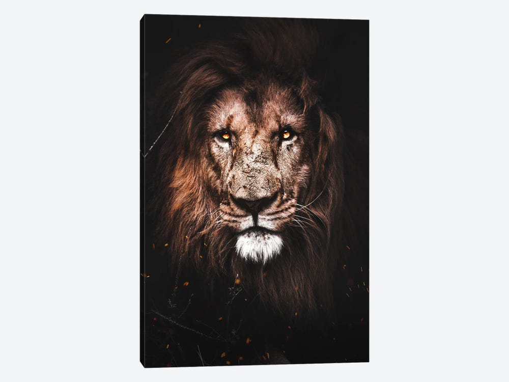 Lion I by Milos Karanovic 1-piece Canvas Art