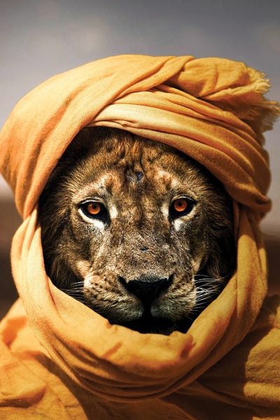 Milos Karanovic: Lion II by Milos Karanovic