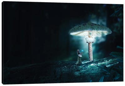 Mushrooms Canvas Art Print