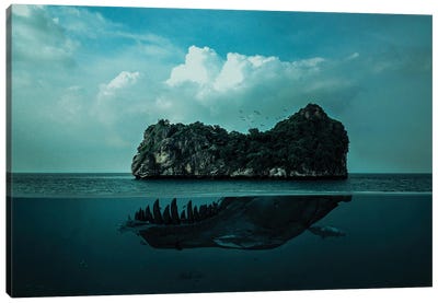 Skull Island Canvas Art Print - Through The Looking Glass