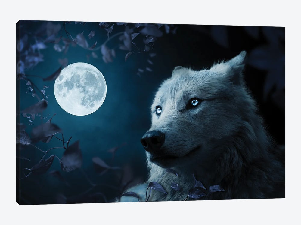 Wolf In Beutiful Night Canvas Art by Milos Karanovic | iCanvas