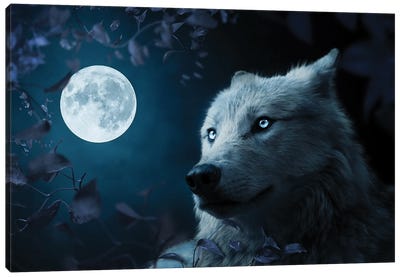 Wolf In Beutiful Night Canvas Art Print - Wolf Art