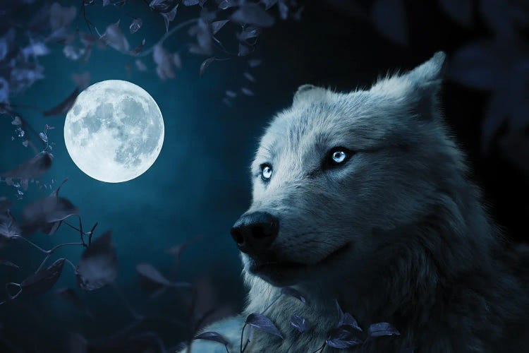 Wolf In Beutiful Night