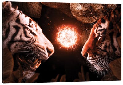 Beasts Fight Canvas Art Print - Through The Looking Glass