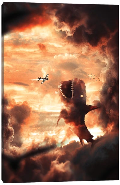 Cloud Shark Canvas Art Print - Milos Karanovic