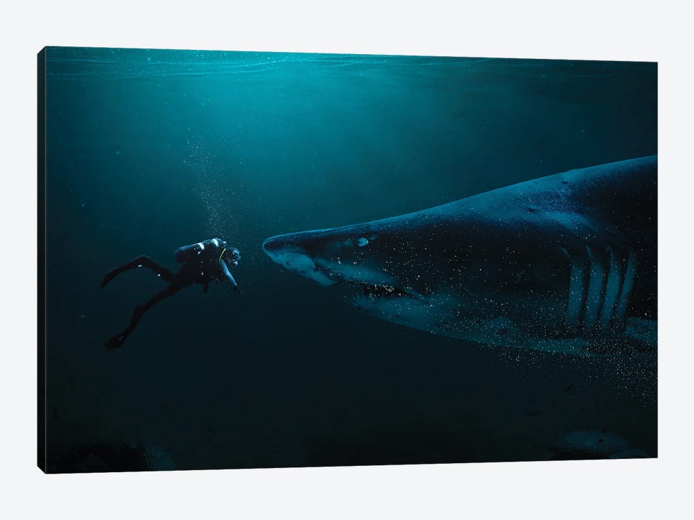 Diver And Shark by Milos Karanovic 1-piece Canvas Art Print