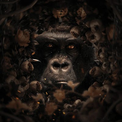 Floral Gorilla by Milos Karanovic art print