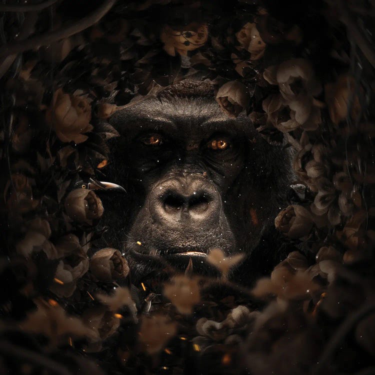 Floral Gorilla