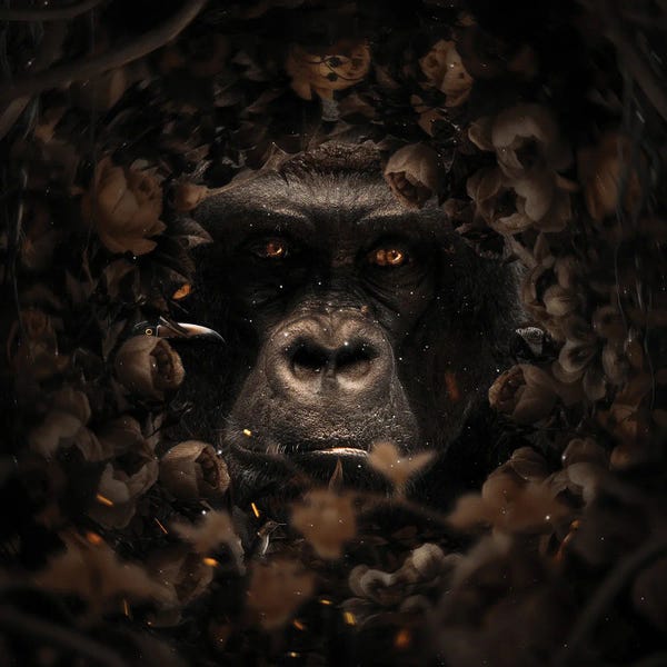 Milos Karanovic: Floral Gorilla by Milos Karanovic