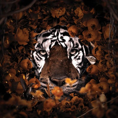 Floral Tiger by Milos Karanovic art print