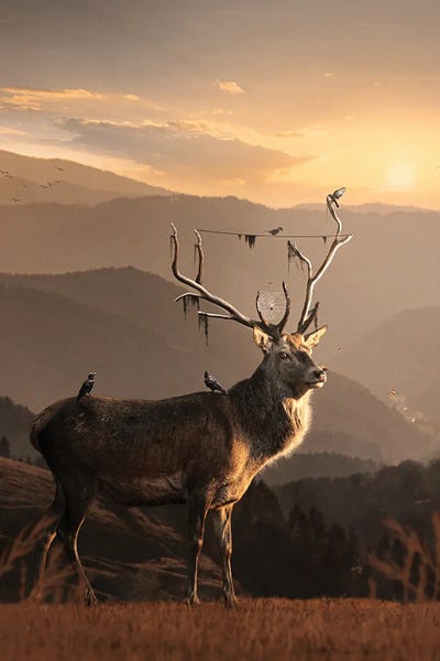 Hersh by Milos Karanovic art print