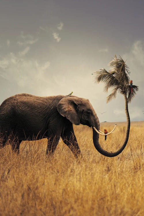 Inequality by Milos Karanovic wall art