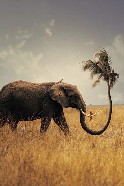 Milos Karanovic: Inequality by Milos Karanovic