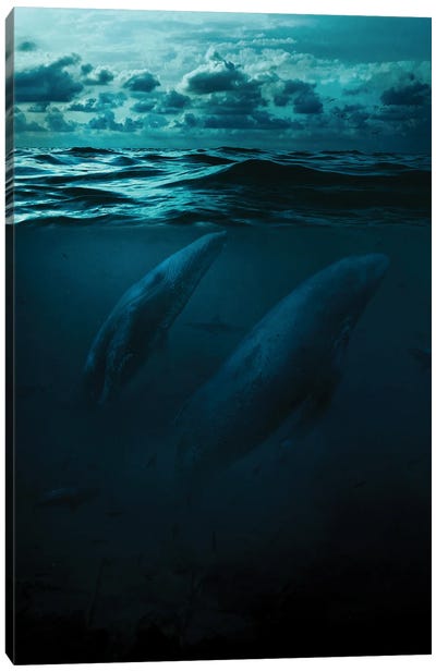Whales In Big Ocean Canvas Art Print