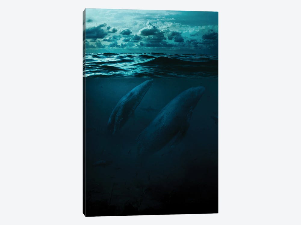 Whales In Big Ocean by Milos Karanovic 1-piece Canvas Artwork