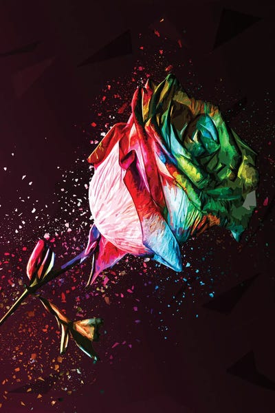 Colored Rose by Milos Karanovic art print