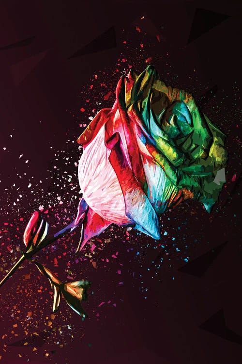 Colored Rose by Milos Karanovic wall art