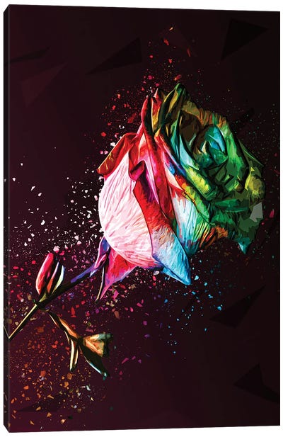 Colored Rose Canvas Art Print