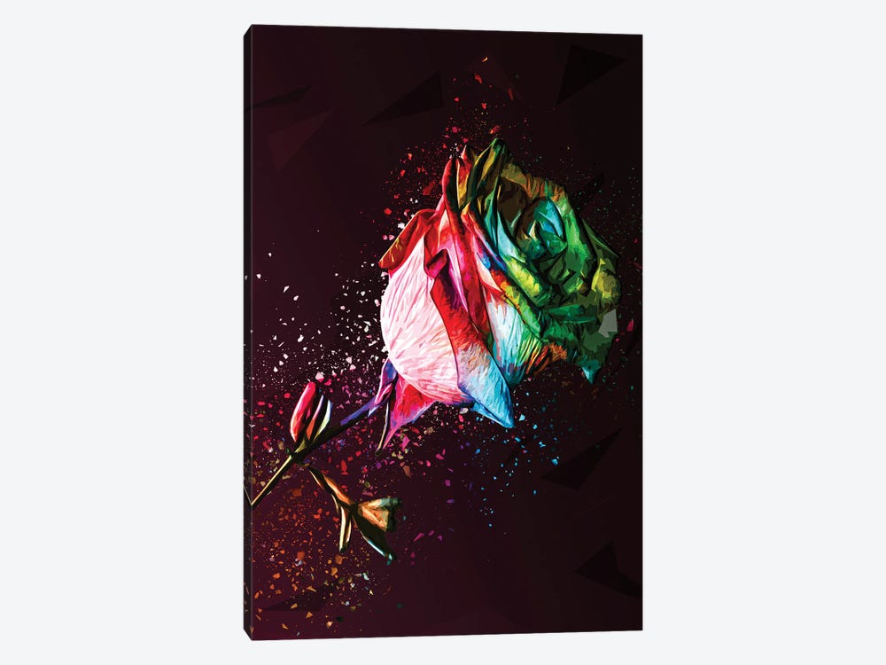 Colored Rose by Milos Karanovic 1-piece Art Print