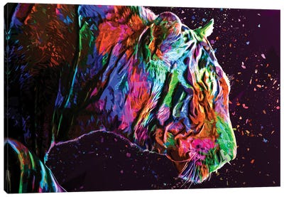 Colored Tiger Canvas Art Print - Milos Karanovic