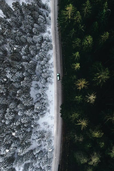 Milos Karanovic: Winter / Summer by Milos Karanovic