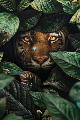 Tiger In Leaves Art Print by Milos Karanovic | iCanvas