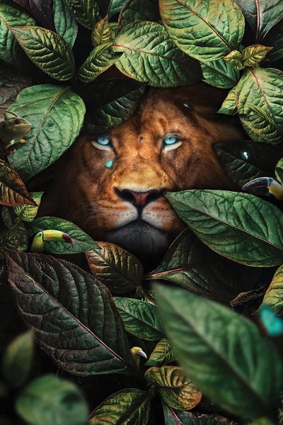 Lion In Leaves by Milos Karanovic art print
