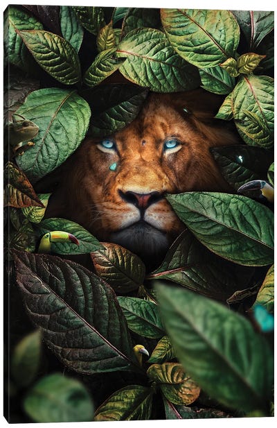 Lion In Leaves Canvas Art Print - Milos Karanovic