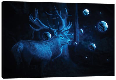 Deer Cosmos Canvas Art Print