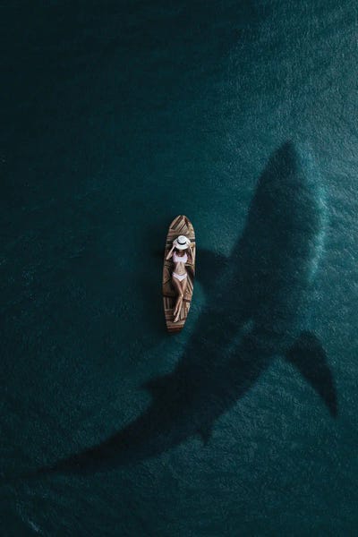 Danger From The Deep by Milos Karanovic art print