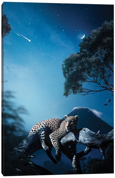Leopard At Night Canvas Art Print - Milos Karanovic