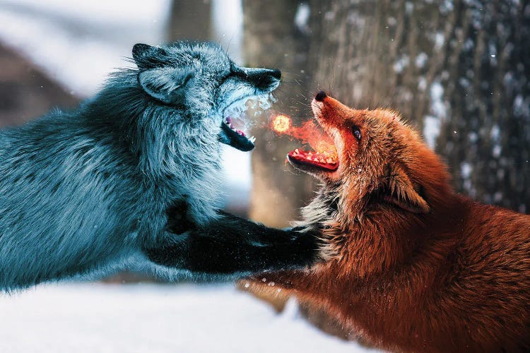 Fire Vs. Ice by Milos Karanovic wall art