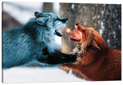 Fire Vs. Ice Canvas Art Print - Through The Looking Glass