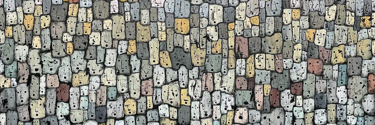 Wonder by Koorosh Nejad wall art