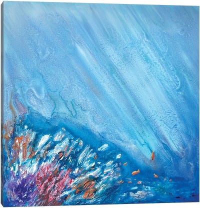 Coral Reef Canvas Art Print - Koorosh Nejad