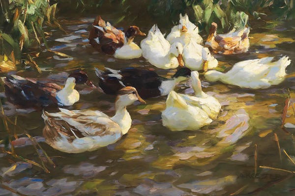 Lakehouse Décor: White Ducks In The Pond by Alexander Koester