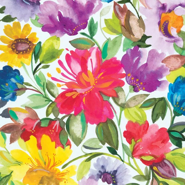 Floral Close-Ups: Hibiscus II by Kim Parker