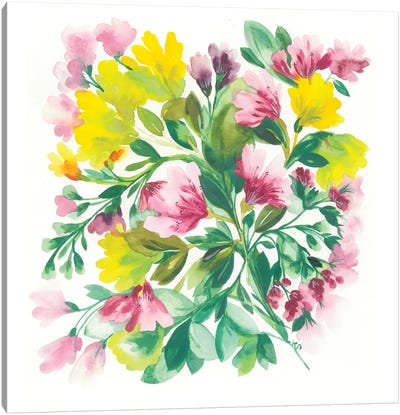 Peruvian Lilies Canvas Art Print - Kim Parker