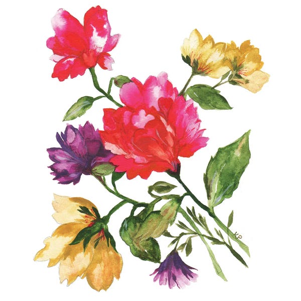 Carnations: Carnations by Kim Parker